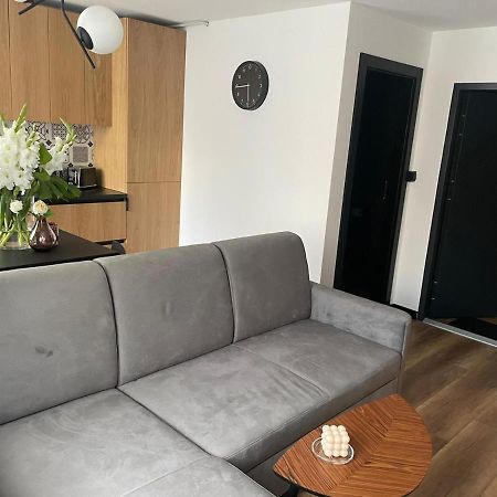Apartamenty Nadrzeczna 14 Karpacz Eksteriør bilde