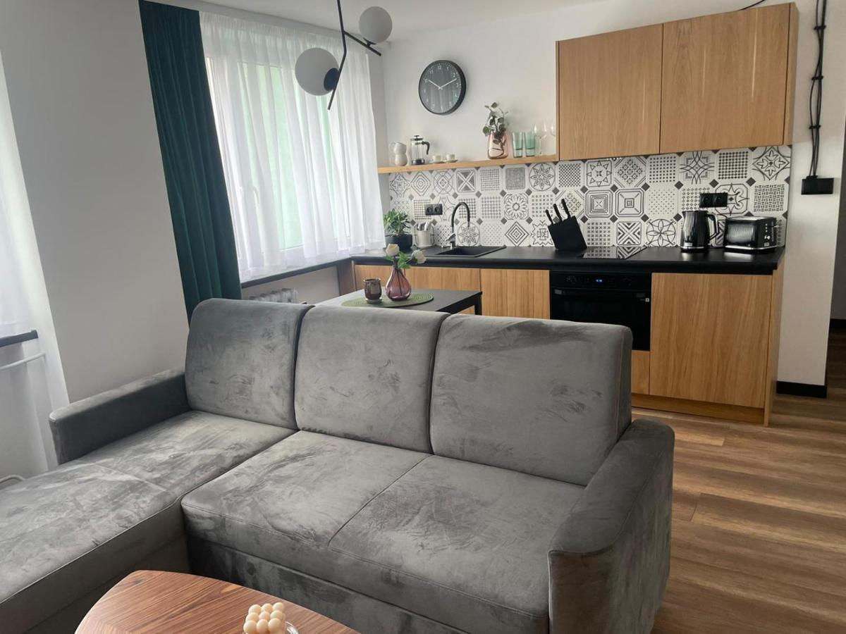 Apartamenty Nadrzeczna 14 Karpacz Eksteriør bilde